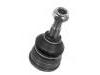 Joint de suspension Ball joint:SE141140104A