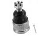 Joint de suspension Ball Joint:H001-99-356