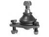 Joint de suspension Ball Joint:77 01 461 321