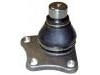 Ball Joint:82420623