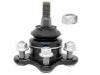 Joint de suspension Ball Joint:89040241