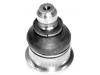 Trag-/Führungsgelenk Ball Joint:8200298455#