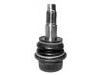 Joint de suspension Ball Joint:5429314