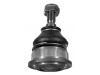 Joint de suspension Ball Joint:91504248