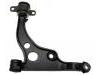 Brazo de suspensión Control Arm:3521.J4