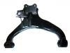 Control Arm:54500-VW000