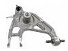 Control Arm:10412907