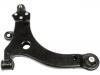 Brazo de suspensión Control Arm:15293665